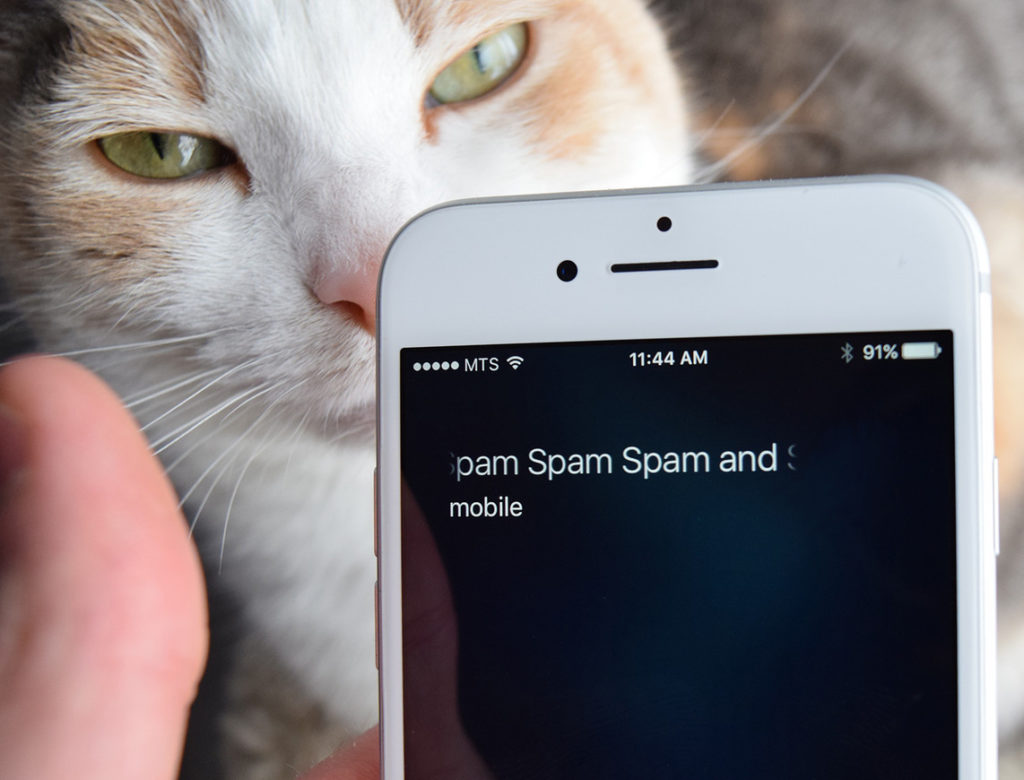 iPhone Spam Calls and Text Messages - MacFinesse