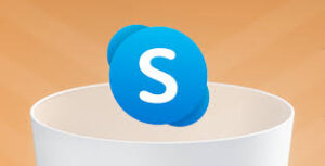 Skype Icon